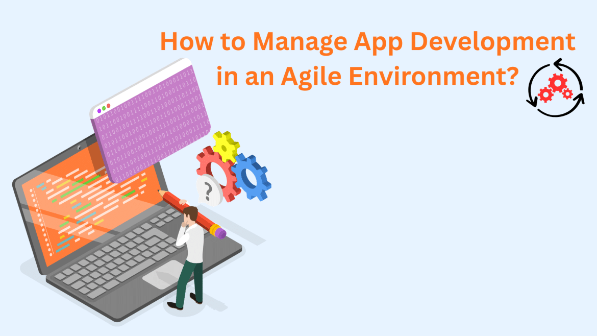 Agile Development Risks and Challenges